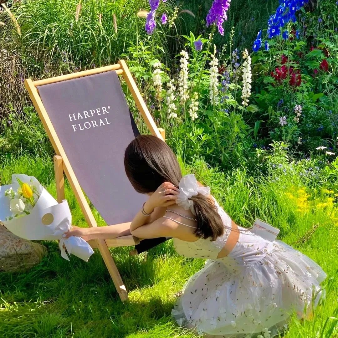 剧场版 怪博士与机器娃娃:「吼唷唷!」宇宙大冒险